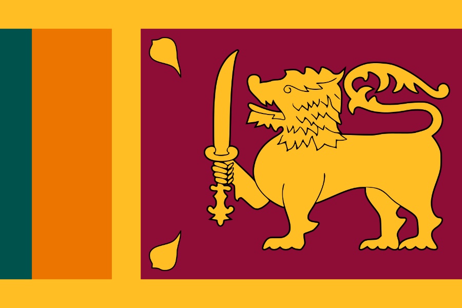 सन् २०२२ मा घाटामा रहेका श्रीलंकाका ५२ सरकारी लगानीका व्यवसाय नाफामा 