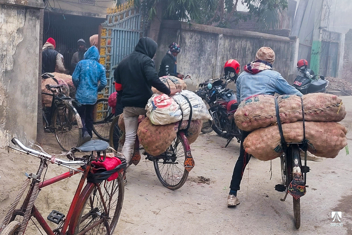 भारतबाट तस्करी हुने प्याजले मूल्य नियन्त्रण साइकलबाट सीमापार गोदाममा एकत्रित गरी काठमाडौँ सप्लाई