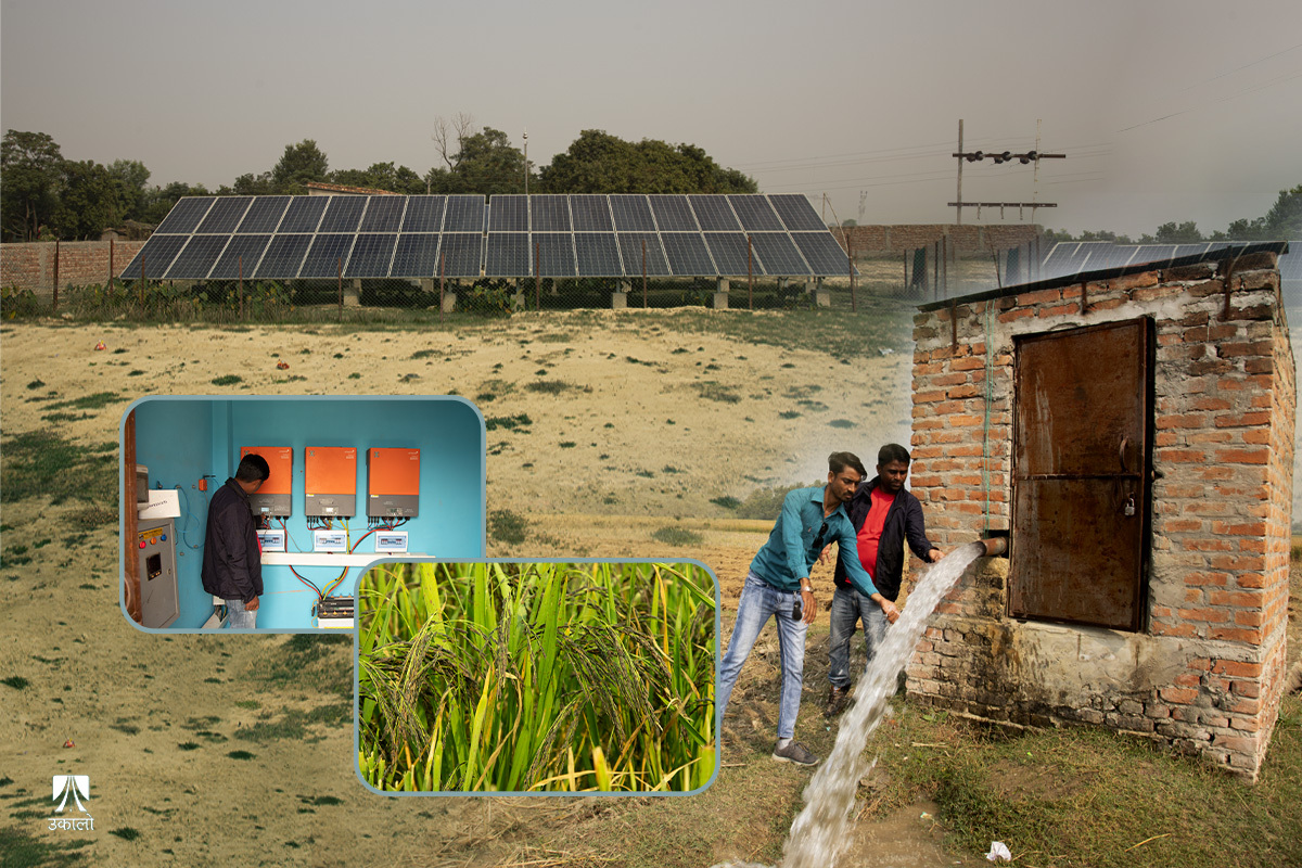 Solar energy technology is emerging as an alternative to irrigation pumps that consume 2.5 billion diesel annually