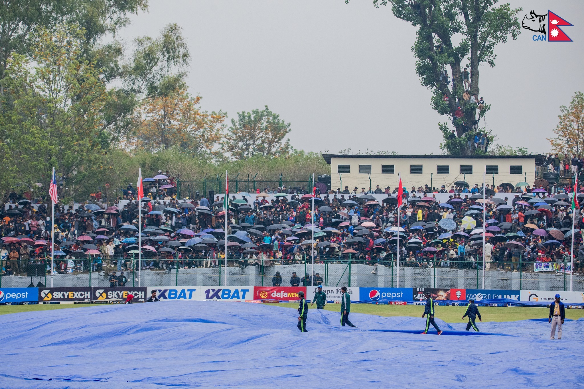 वर्षाले प्रभावित नेपाल–यूएईबीचको खेल मंगलबार हुने यूएईले १०६–९ को स्थितिमै खेल्न शुरू गर्ने