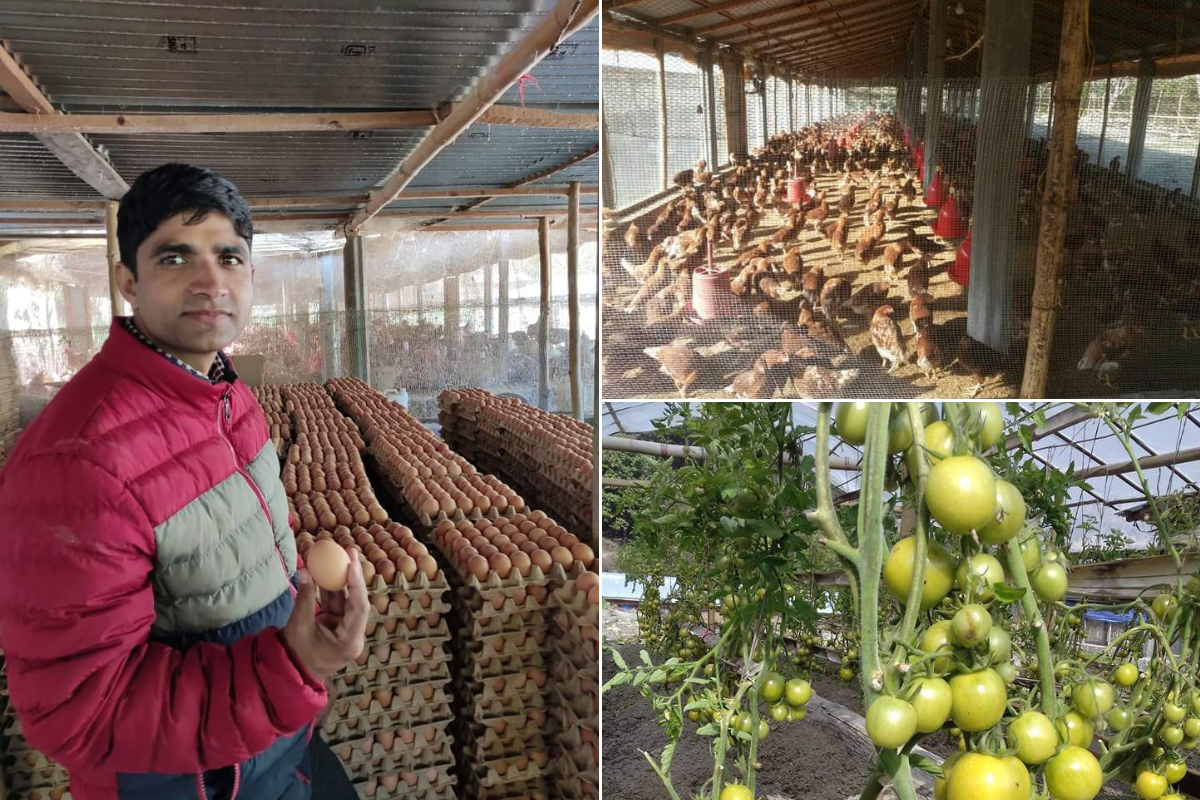 लुम्बिनी प्रदेशको कृषि अनुदानः स्मार्ट कृषि गाउँमा छैन उत्पादन चल्दैनन् शीतभण्डार