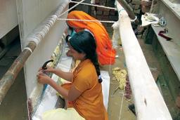 मोरङका घरेलु उद्योगमा ३ लाखलाई रोजगारी