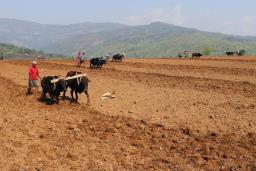 प्रिमनसुनमा वर्षा : अन्नबाली लगाइँदै, डढेलोको प्राकृतिक नियन्त्रण