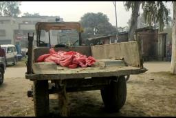 भारतको सीतामढी आफन्तकहाँ गएका धनुषाका दुई युवाको अपहरणपछि हत्या
