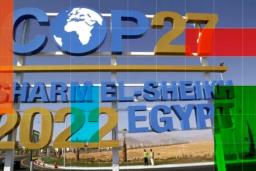 जलवायु सम्मेलन कोप २७ इजिप्टको शार्म–अल–शेखमा शुरू