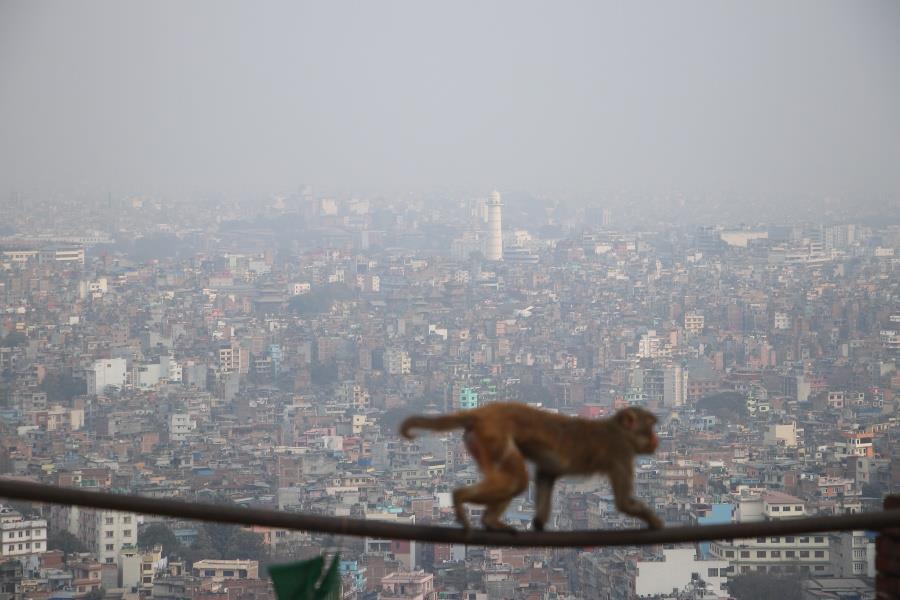 धुम्म उपत्यका 