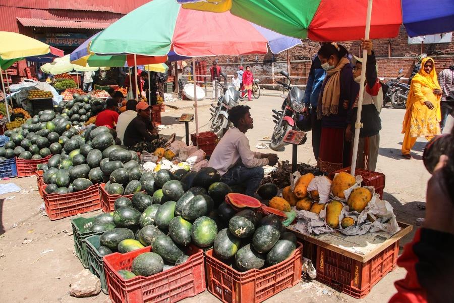 गर्मीसँगै बढ्यो खरबुजाकाे बिक्री