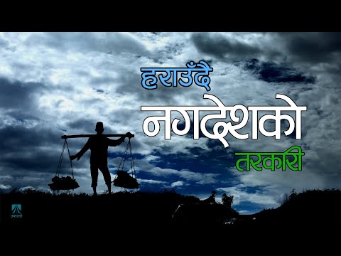 मध्यरातमा खुल्ने तरकारी बजार, प्लटिङले सँधैलाई बन्द हुने जोखिम