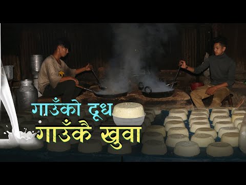 किसानको दूध गाउँकै उद्योगलाई, उद्योगीको खुवा शहरतिर