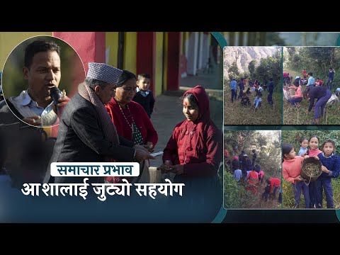 शिक्षक–विद्यार्थी मिलेर कोदो काटिदिएको समाचारले सहयोगीहरूलाई यसरी जोड्यो