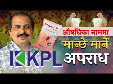 राजनीतिक संरक्षणमा लुकेकाे जनस्वास्थ्य अपराध | Exposed: How Political Protection Is Hiding a Public Health Crime