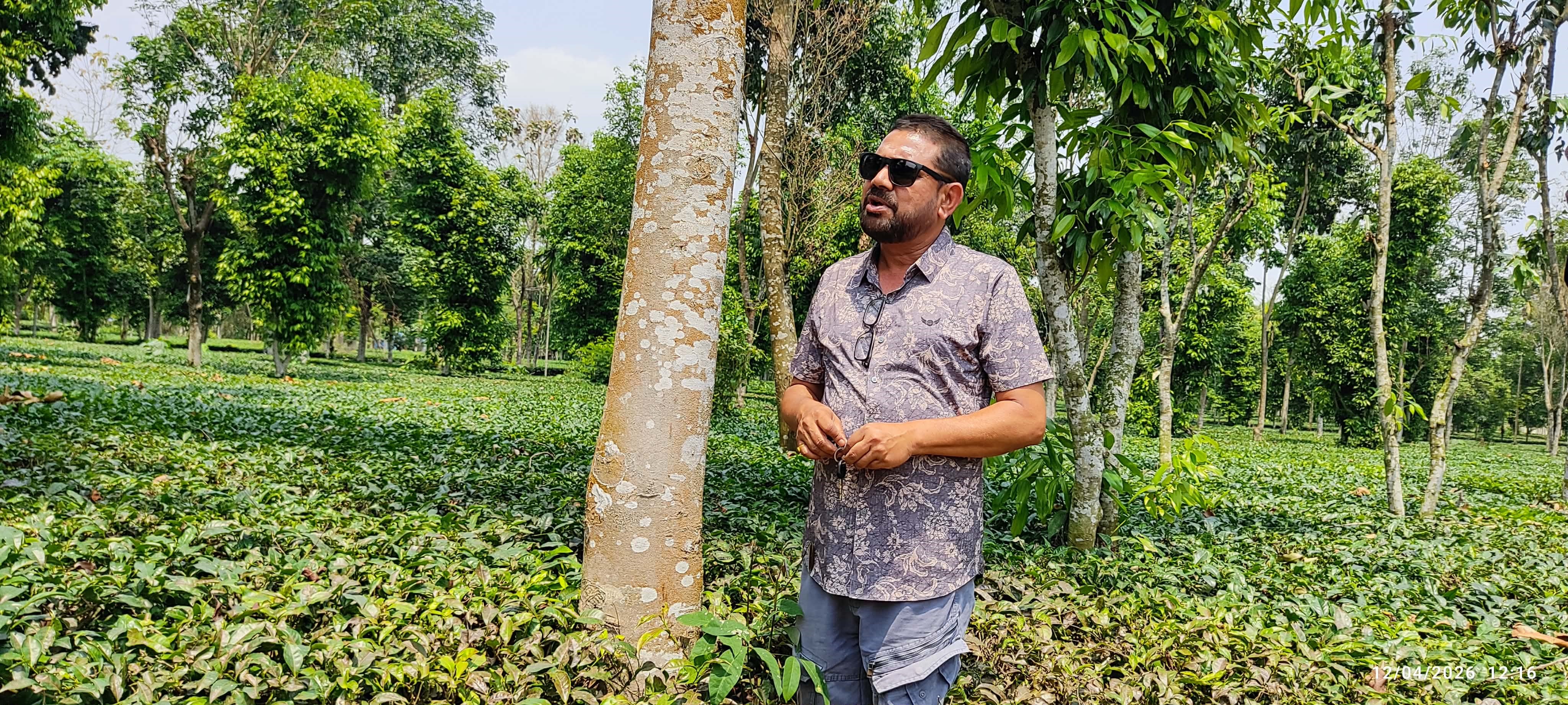 रबिको ‘मिश्रित खेती’मा २७ प्रजातिका नगदेबाली, भन्छन्– पैसा कमाउन युरोप–अमेरिका धाउनु पर्दैन