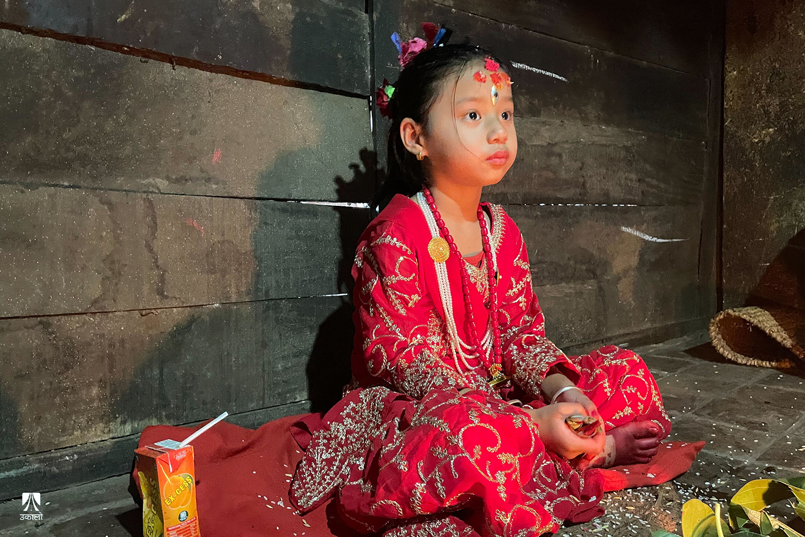 नुवाकोटमा प्राची डंगोल नयाँ कुमारी चयन