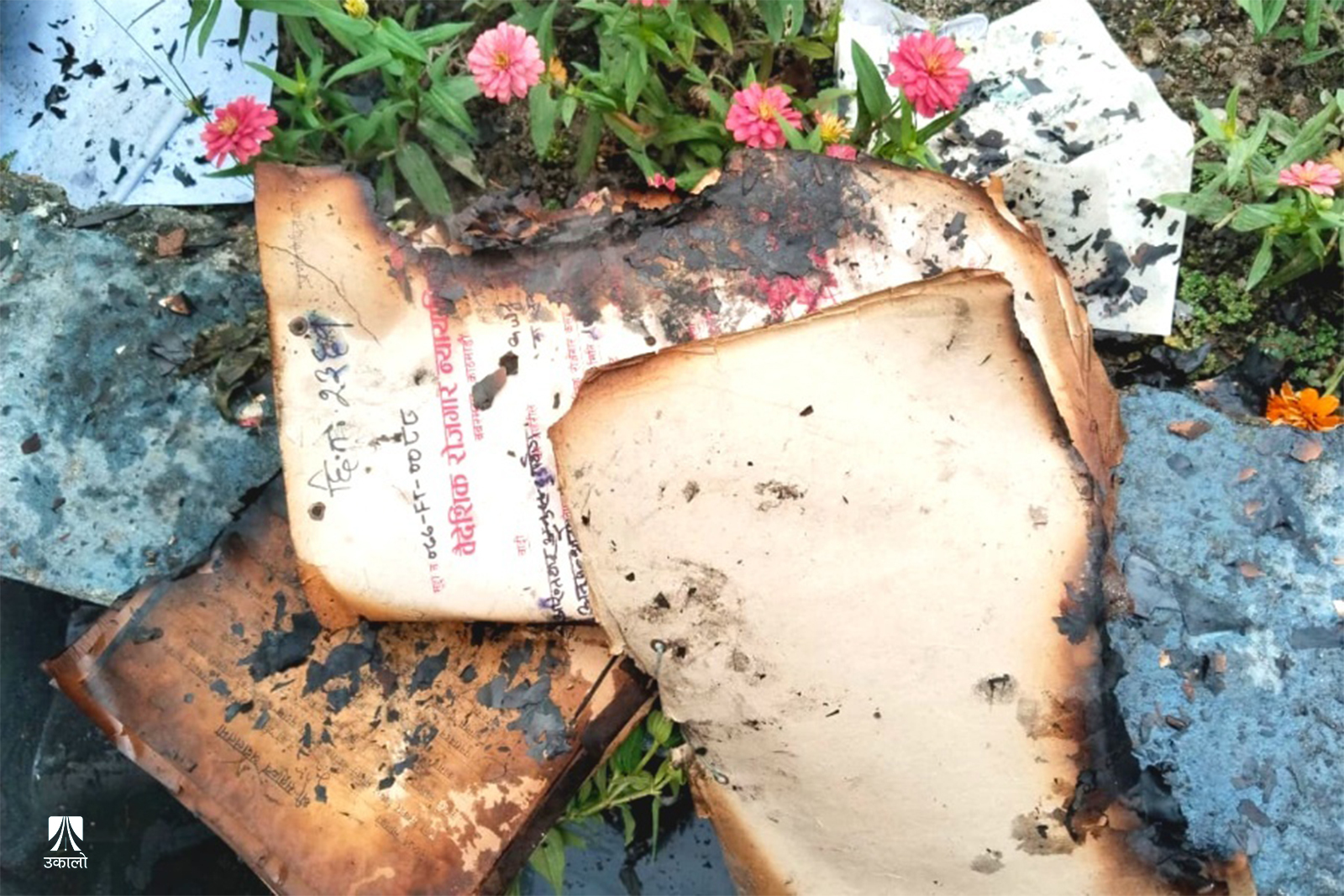 जेन–जी आन्दोलन : वैदेशिक रोजगारसम्बन्धी मुद्दाका मिसिल पनि खरानी