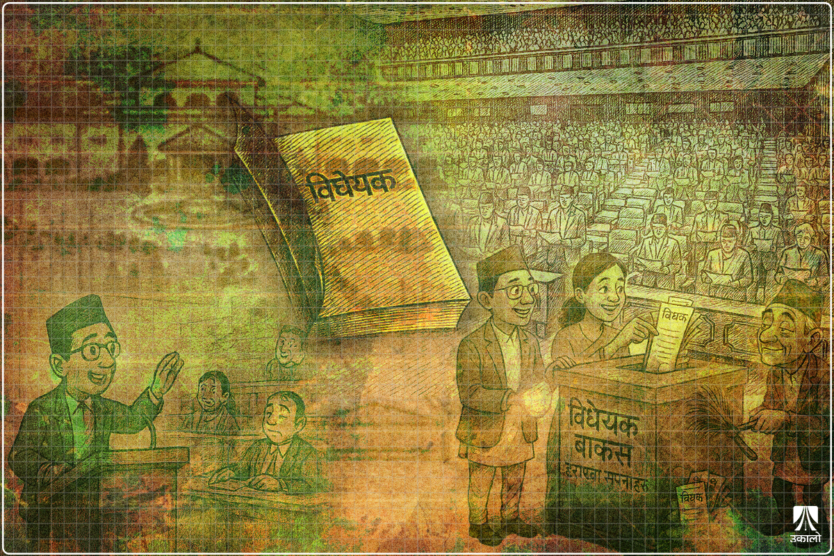 सरकारको ‘बिजनेस’ मात्र थाम्छन् सांसद, गैरसरकारी विधेयकले संसद‍्मा पाउँदैनन् महत्त्व