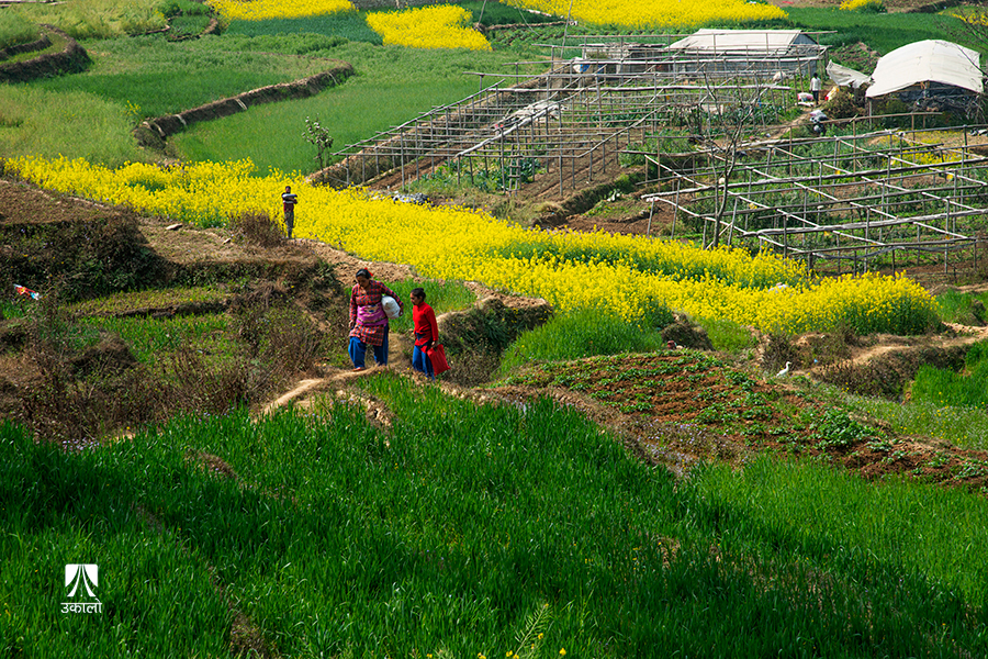 समयसँगै परिवर्तन हुने प्रकृति (तस्वीरहरू) 