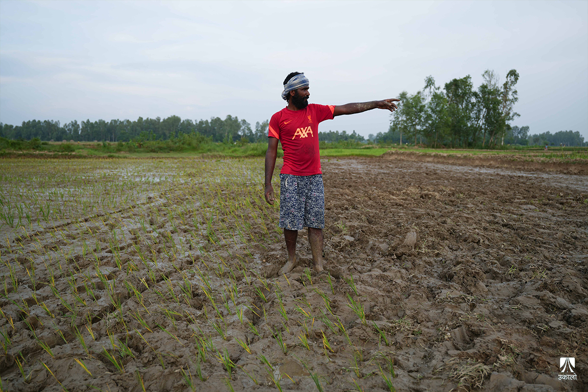 मधेशका सुक्खाग्रस्त क्षेत्रमा बेलायती संस्थाले सहयोग गर्ने