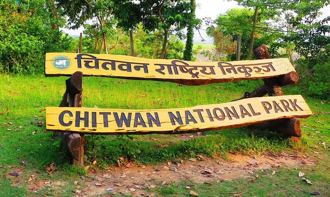 चितवन राष्ट्रिय निकुञ्जमा बाघ र गैँडा मृत फेला