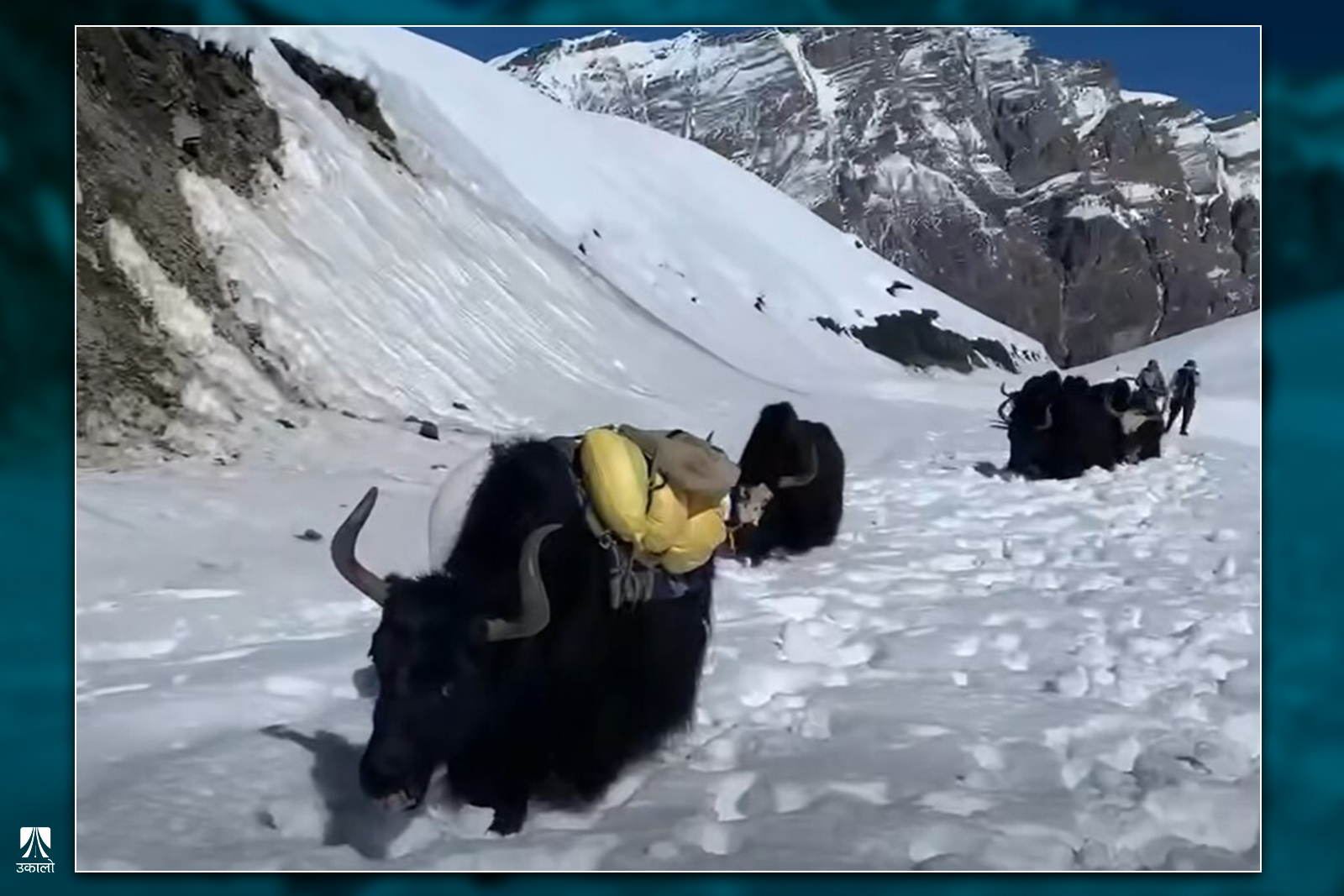 तस्वीर सौजन्य: सुन्दरकुमार थकाली