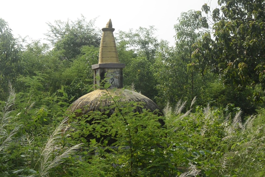 करौडौँ खर्चिएर बनाएको शहीद पार्क झाडीमा परिणत