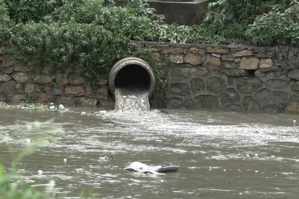 उद्योगको प्रदूषित पानीले रामग्राम र पाल्हीनन्दन दुर्गन्धित