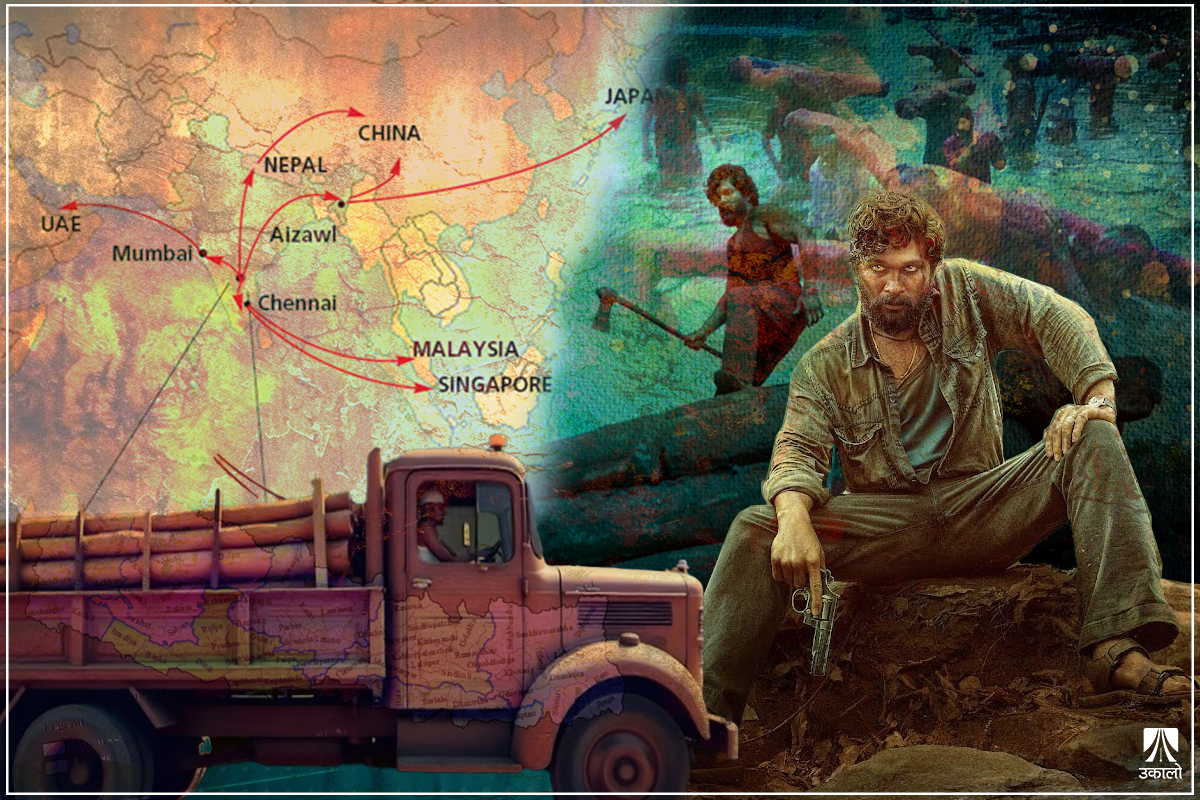 ‘पुष्पा’ले ‘फ्ल्यासब्याक’मा पुर्‍याएको रक्तचन्दन तस्करी