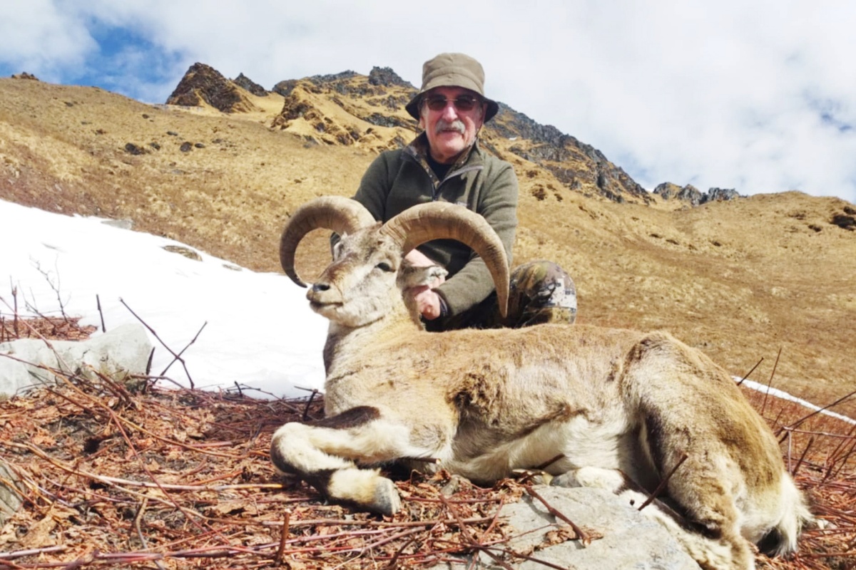 सकियो दोस्रो शिकारयामः ११ नाउर र सात झारलको शिकार