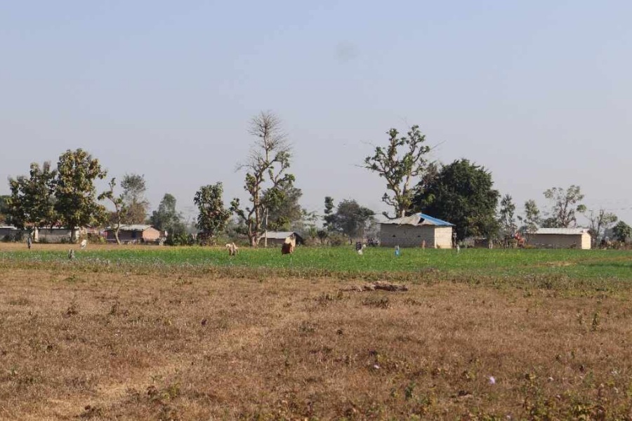 ५ दशकदेखि सीमामा संघर्ष गर्दै बडुवालवासी