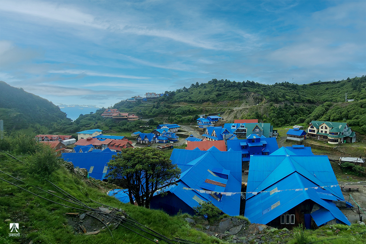 केबलकारपछि कालिञ्चोकमा अर्को विनाशः कुरीको वन क्षेत्रमा ठडिए जताततै होटल