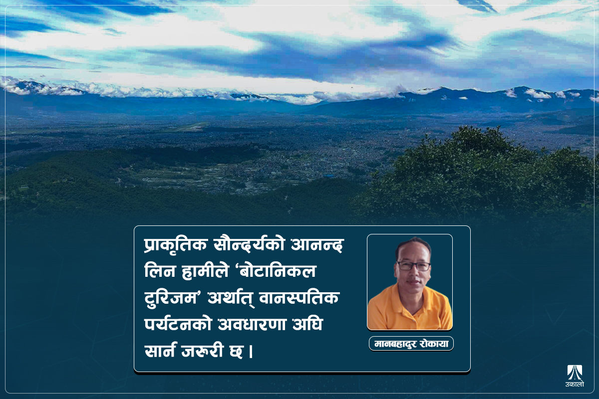 काठमाडौँ उपत्यकामा ‘वन-उद्यान पर्यटन’: फल्न सक्छ हरियो मुद्रा