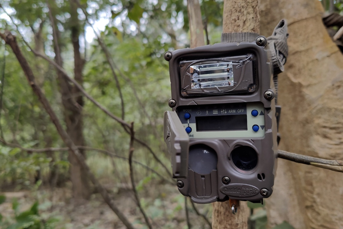 जंगली जनावरको आक्रमणबाट महिलाको मृत्युपछि सामुदायिक वनमा क्यामरा जडान