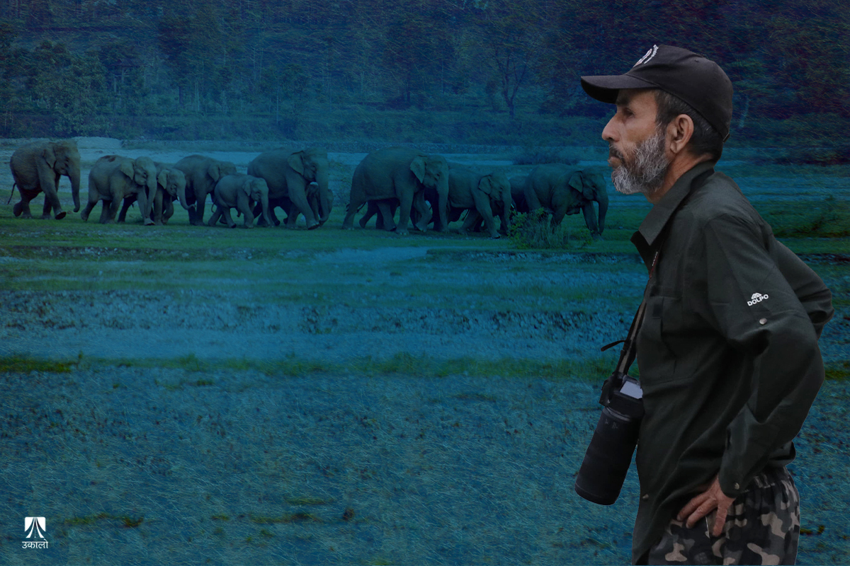 हात्तीका पछि दौडिने शंकर