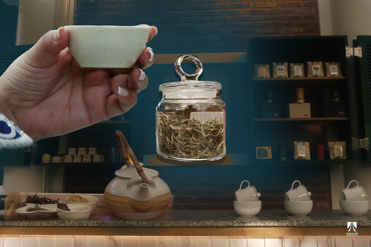 चिया अर्थात्, ‘कनेक्सन’ (भिडियो कथा)