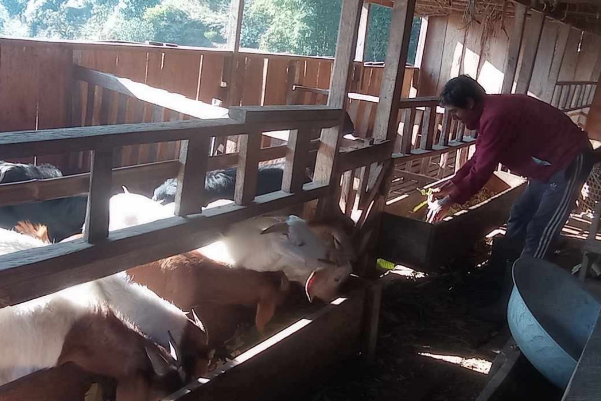 विदेशबाट फर्किएर कृषि पेसामा जोडिँदै भोजपुरका युवा