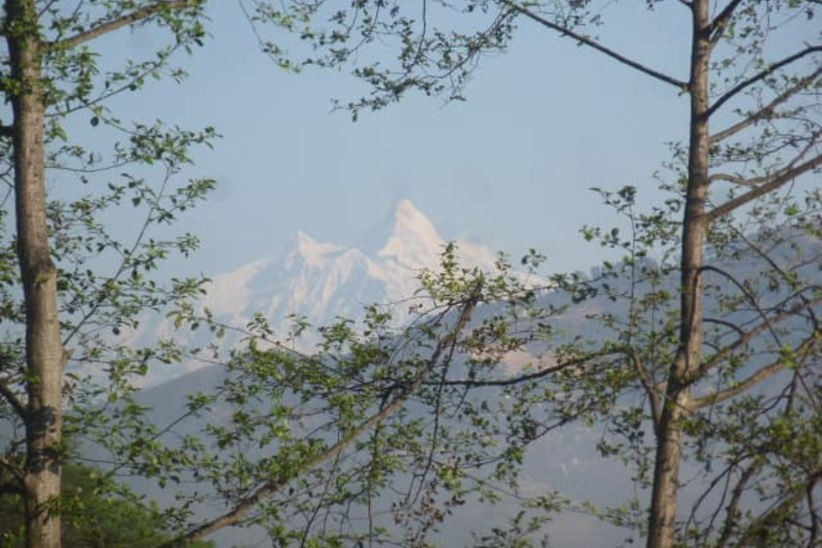 मनास्लुको आधार शिविरमा हिमपहिरो, आरोही तथा पदयात्री फसेको आशंका