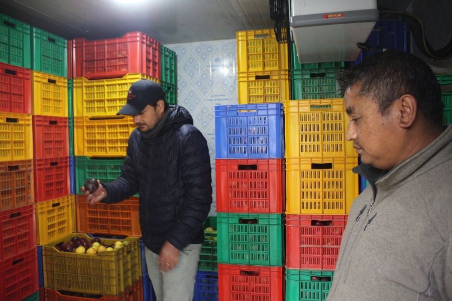 मुस्ताङमा चिस्यान केन्द्र, हट्यो स्याउ कुहाएर फाल्नुपर्ने समस्या