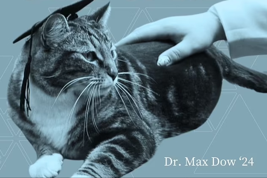 बिरालोलाई मानार्थ विद्यावारिधिको उपाधि