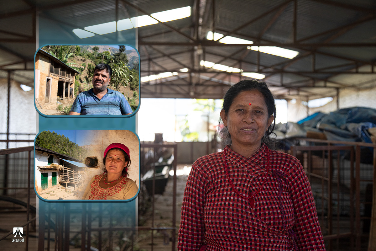 किसानको उत्साहमा पानी खन्याइरहेको आयातित बजार