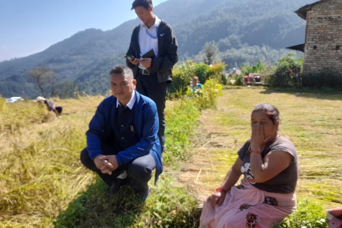 म्याग्दीमा असिनापानीले सखाप बनायो पाक्न लागेको धान 