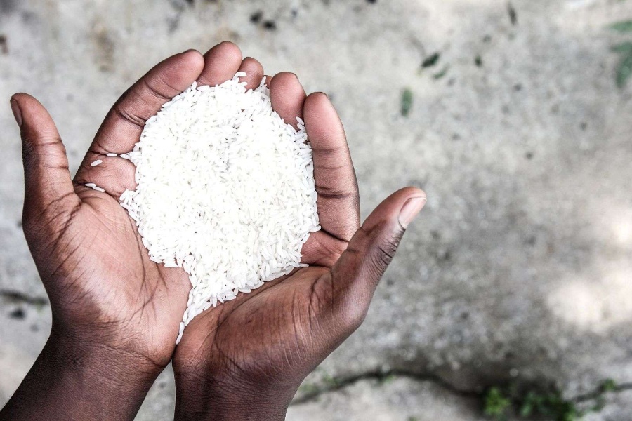 गाजाको आधा जनसंख्या भोकमरीको चपेटामा: राष्ट्रसंघ 