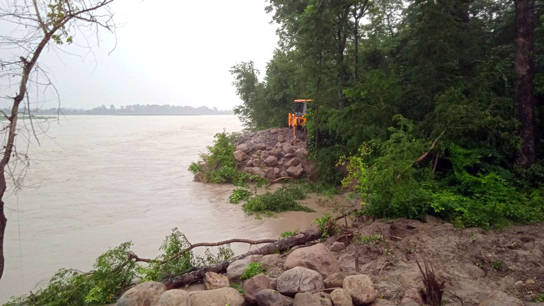 बबई नदीमा दाउरा संकलन गर्ने क्रममा बगेर तीन बेपत्ता