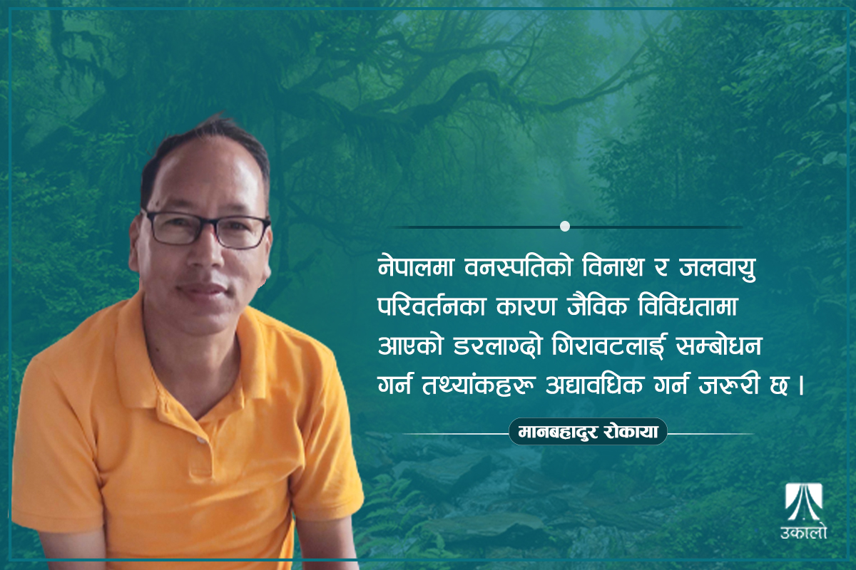 हाम्रा वनस्पतिहरूको अपूरो अध्ययनलाई कसरी पूरा गर्ने? 