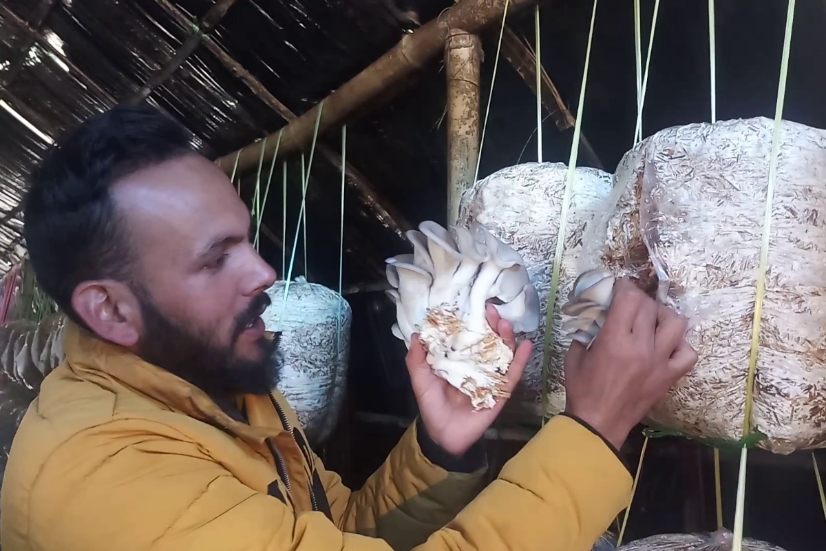 बिदेसिने योजना छोडेर च्याउखेती गरेका खेमराजले गर्छन् वार्षिक २५ लाख आम्दानी