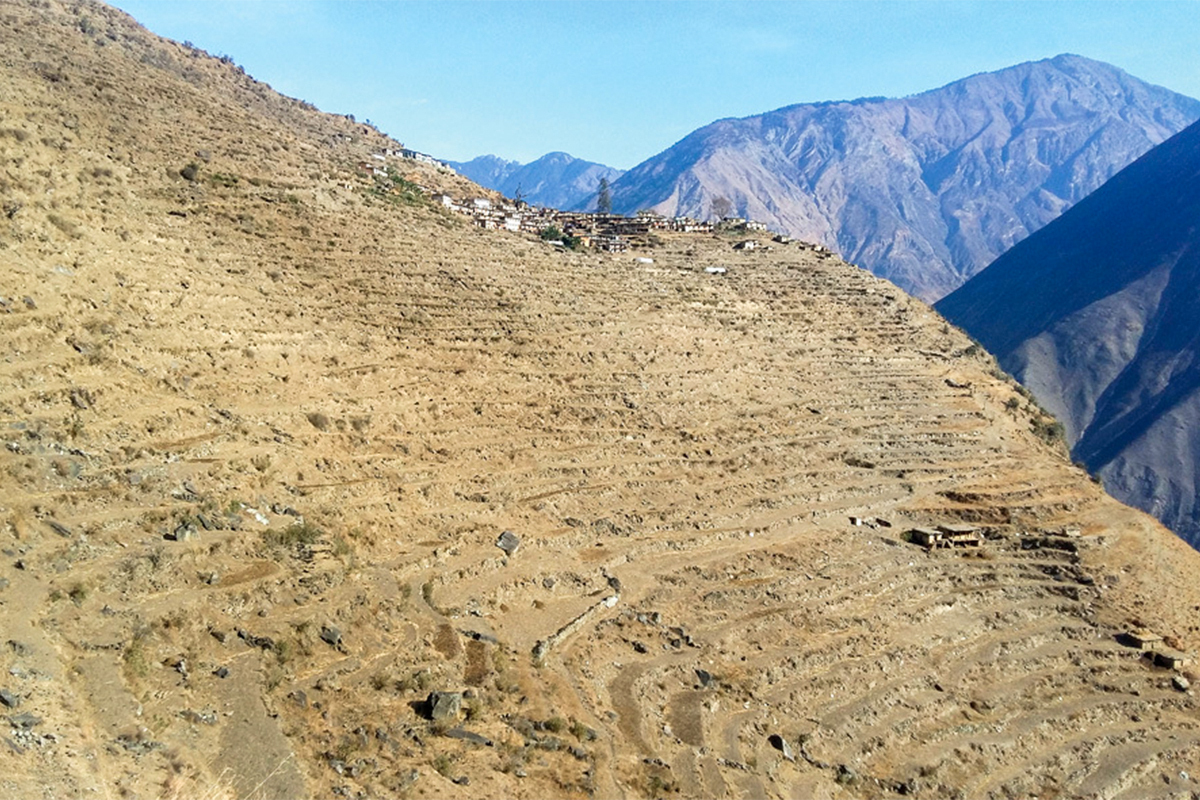 खडेरीले पर्वतमा हिउँदे बाली प्रभावित