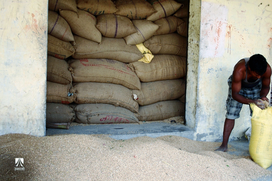 उद्योगीको अस्वाभाविक मागले भारतबाट आएन पर्याप्त गहुँ, मैदाको मूल्य अचाक्ली