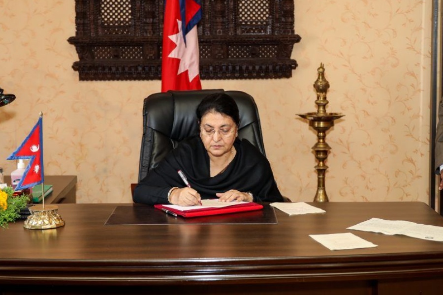 राष्ट्रपतिसमक्ष पुगेको विवादास्पद अध्यादेश, अब के हुन्छ?