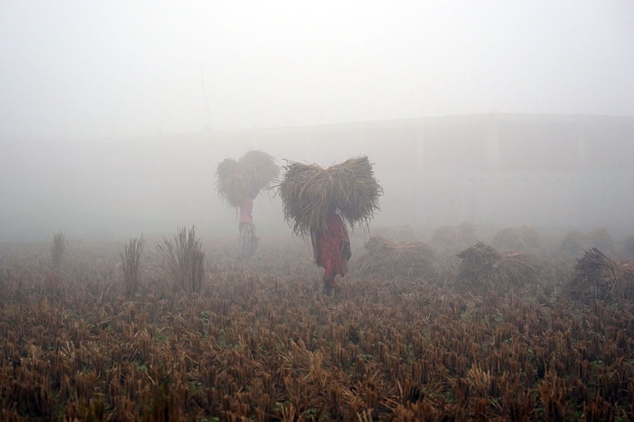 तराईमा बिहानैदेखि बाक्लो हुस्सु, उच्च पहाडमा हिमपातको सम्भावना