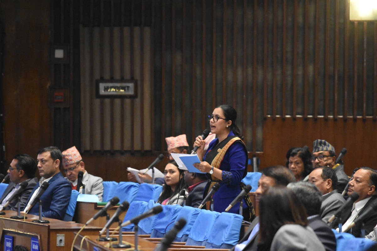 प्रतिनिधिसभा: समसामयिक विषयमा सरकारको ध्यानाकर्षण