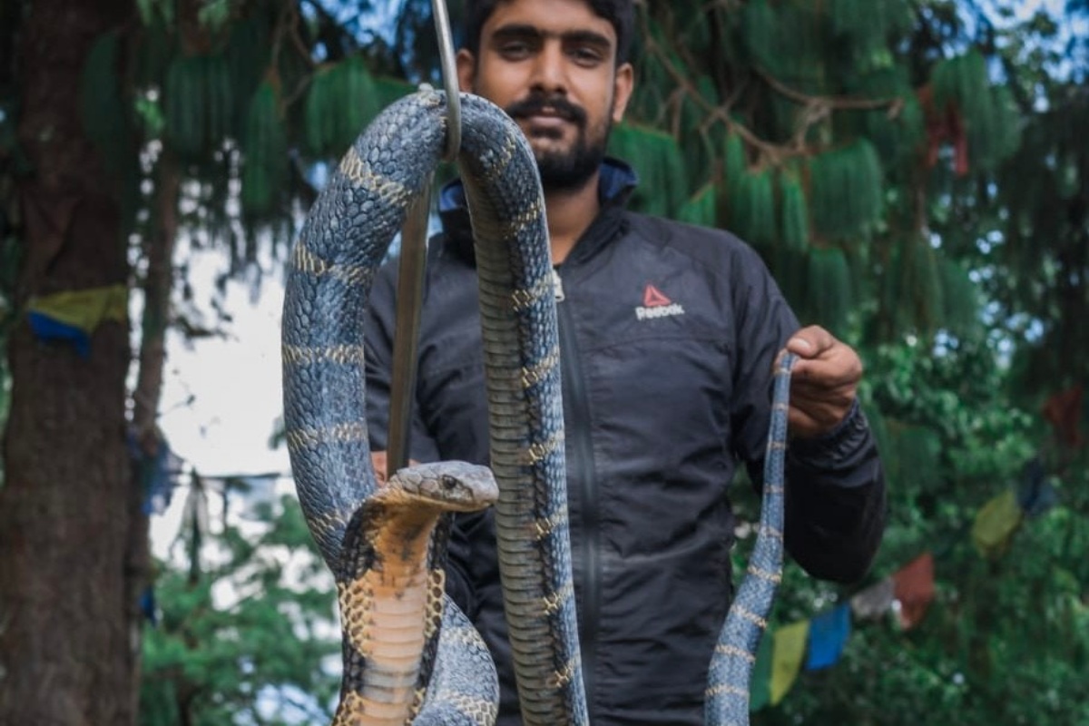 सर्पको उद्धारमा रमेका सुबोध, यसरी समात्छन् सर्प (तस्वीरहरू)