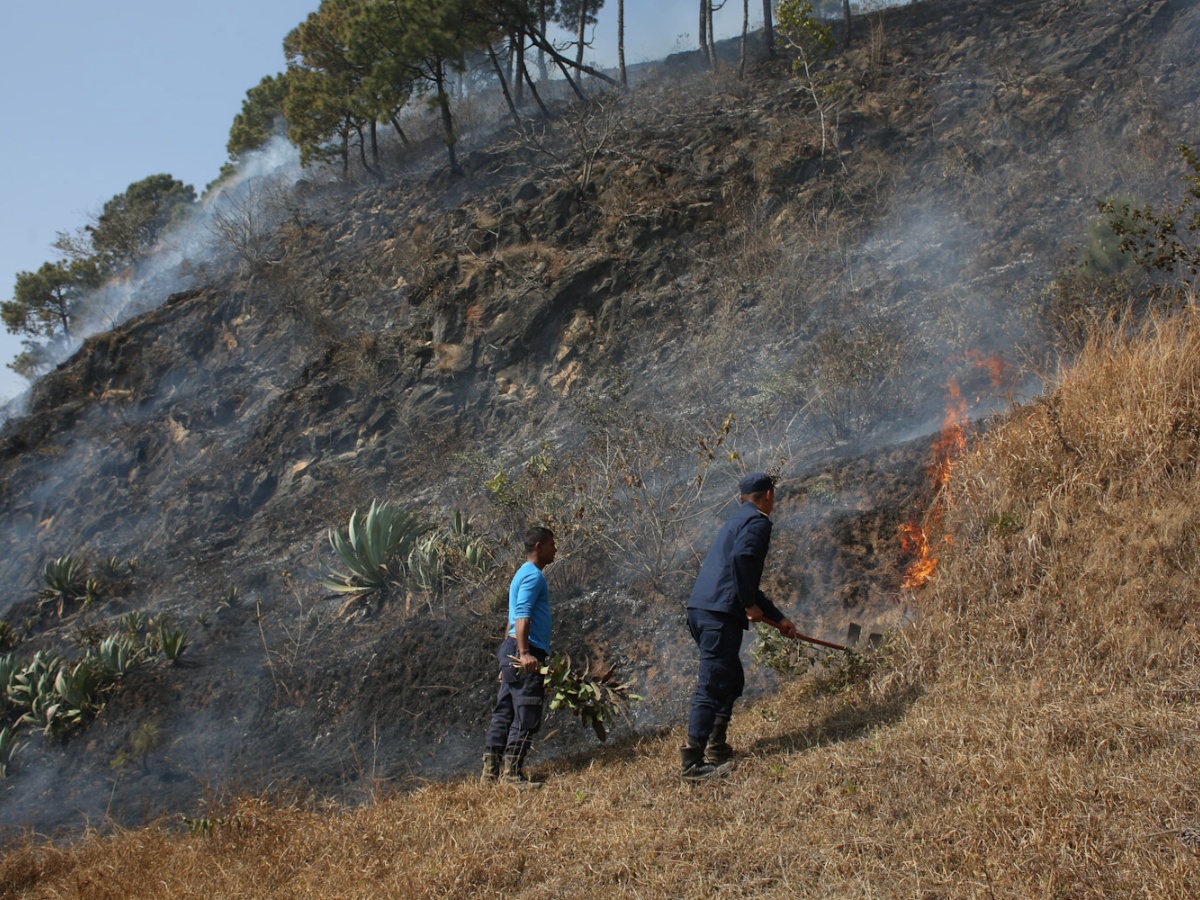 काठमाडौँको दक्षिणकालीस्थित वनमा डढेलो